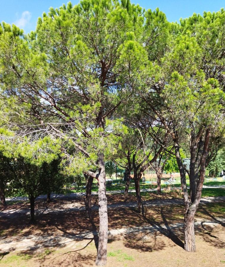 Appartamento Doppi Bagni Sei Posti Letto Viverone Exterior foto